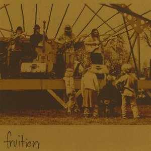 “Fruition”的封面