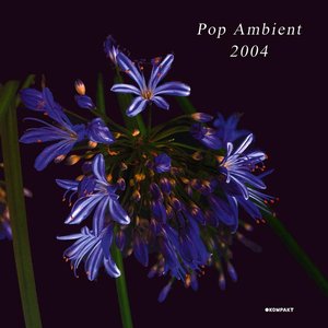 Image for 'Pop Ambient 2004'