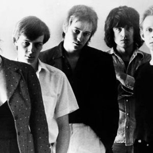 Dafne And The Tenderspots 的头像
