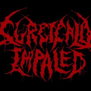 Surgically Impaled 的头像
