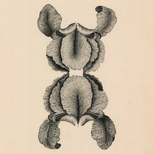 Ambitions of the Son - EP