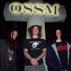 Avatar for OSSM
