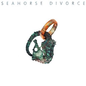 Bild für 'Seahorse Divorce'