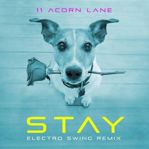 Stay (Electro Swing Remix) - Single
