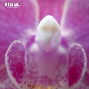 “Organic Alien”的封面