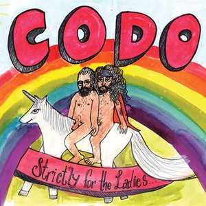 Codo 的头像