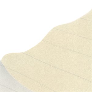 言葉の庭 - Single
