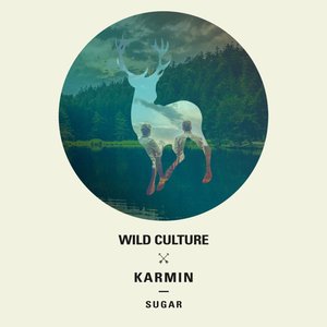 Wild Culture vs. Karmin 的头像