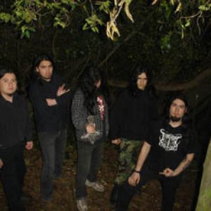 Regnum et Mortem 的头像