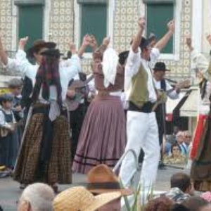 Portuguese Traditional Musicians 的头像