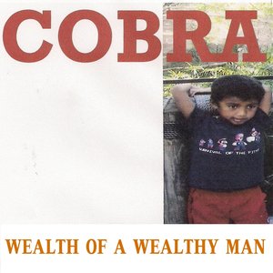 Wealth of a Wealthy Man