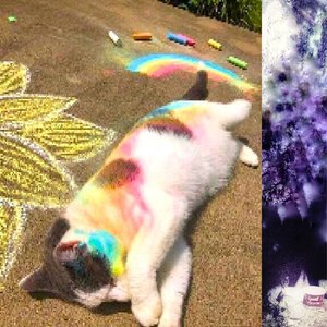 Dang that stupid nyan cat!!!