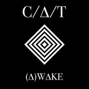 (A)WAKE