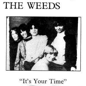 The Weeds 的头像