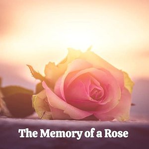 The Memory of a Rose