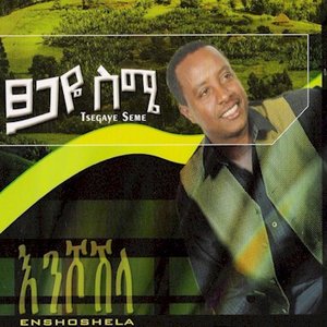 Tsegaye Seme 的头像