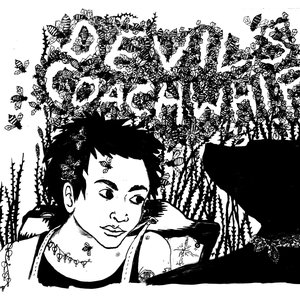 Devil's Coachwhip
