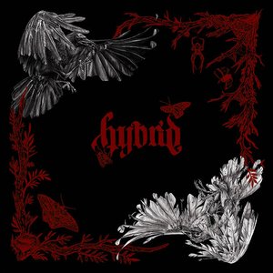 Hybrid Duality