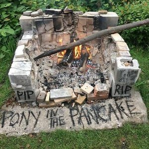 Pony in the Pancake 的头像