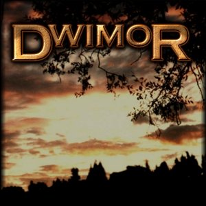 Dwimor 的头像