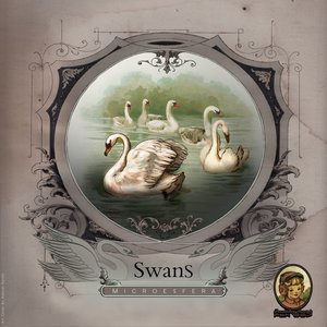 Изображение для 'Swans'