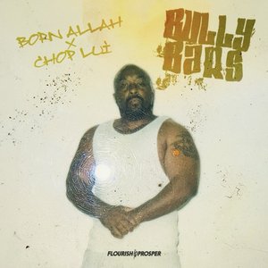 Bully Bars