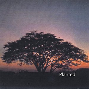 Planted