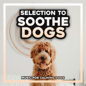 Selection to Soothe Dogs