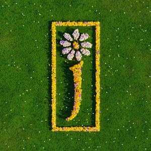 Cover James – Hallelujah Anyhow - Radio Edit