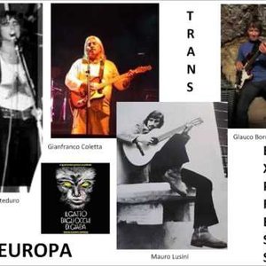 Avatar for Trans Europa Express