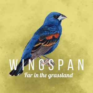 Far in the Grassland (Wingspan Original Video Game Soundtrack)