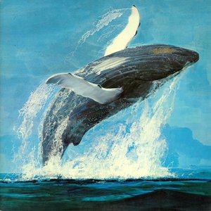 Songs of the Humpback Whale