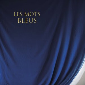 Les mots bleus - Single