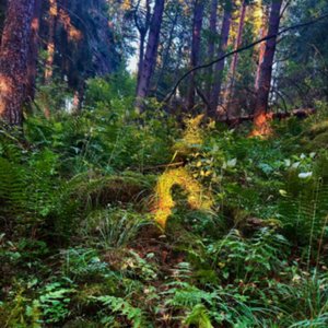 Avatar for singing sorrows