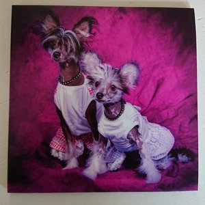 Leave My Head! - Single