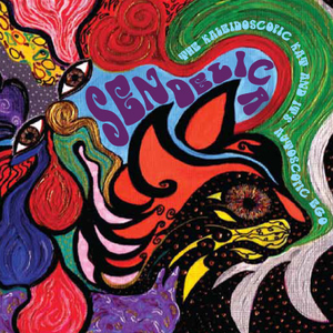 The Kaleidoscopic Kat and it's Autoscopic Ego cover