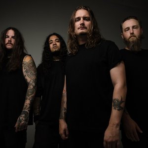 Orbit Culture 的头像