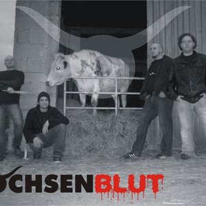 Ochsenblut 的头像