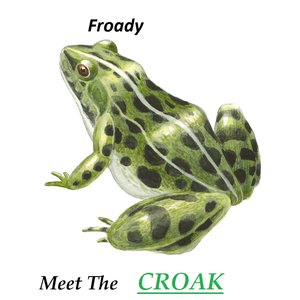 Froady 的头像