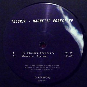 Magnetic Forest EP