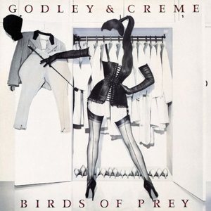 Birds of Prey cover
