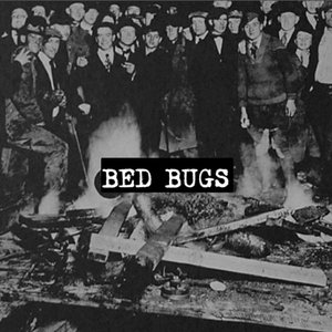 Bed Bugs