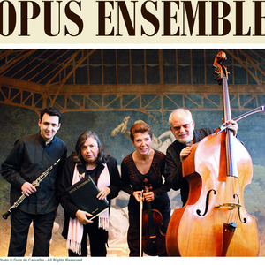 Opus Ensemble photo provided by Last.fm