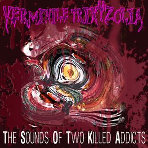 The Sounds Of Two Killed Addicts