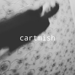 cartmish 的头像