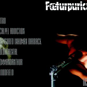 Foeturpurical のアバター
