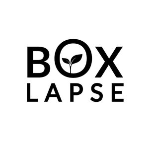 Boxlapse 的头像