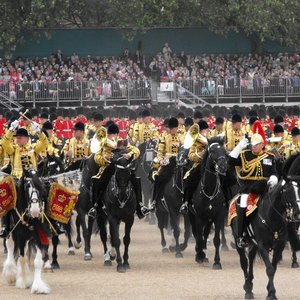 Awatar dla The Band of the Blues & Royals