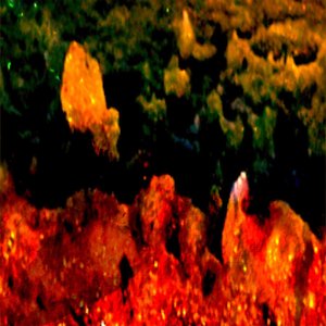Deister Orchestra 的头像