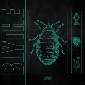 Aphid